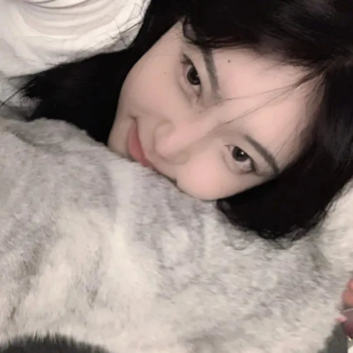 古树旋律 剧场版