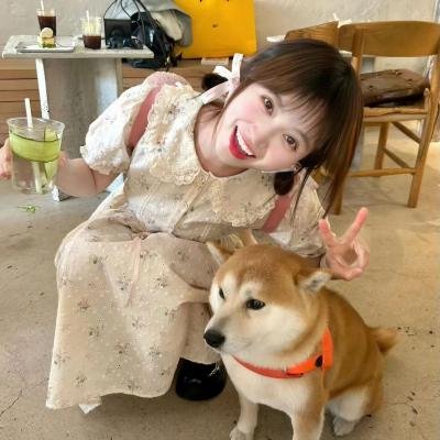 我是霸王龙